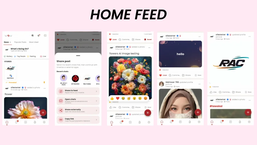 PulseFeed: Social Discovery App